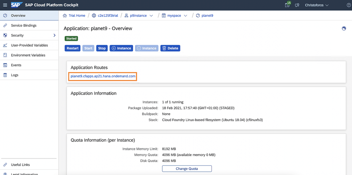 Install Neptune Dxp Open Edition Planet 9 On Sap Btp Neptune Software Community